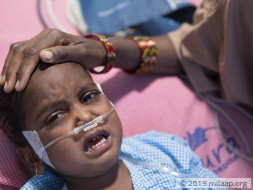 Little Shivu Is In The ICU And Needs Our Help
