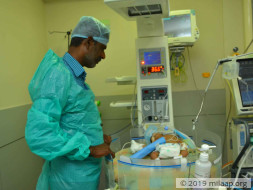 Baby of mamtha needs your help to survive