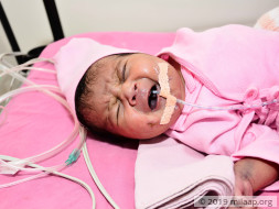 Bunty kumar needs your help to survive