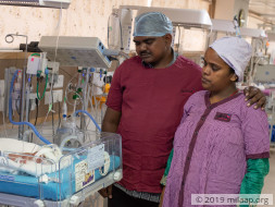 Twins of Uma needs your help to survive