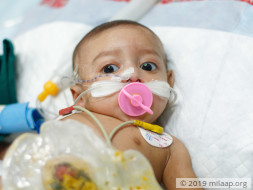 Sara Hasin needs your help to fight disease