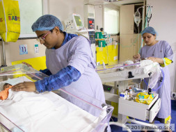 Babies of Rukmini needs your help to survive