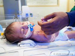 Baby of Madhu Sharma needs your help to survive