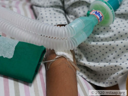 Help Anushka Recover