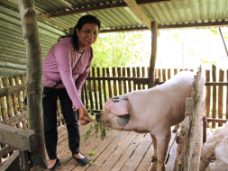 I am fundraising to help women in Mizoram start their own businesses