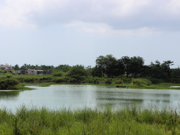 I am fundraising to restore the Perumbakkam lake in Chennai and revive the lost biodiversity of the lake