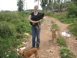 I am fundraising to help keep stray dogs fed and safe