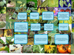 I am fundraising to Build Smart Phone Based Farm and Allied vertical Solutions App