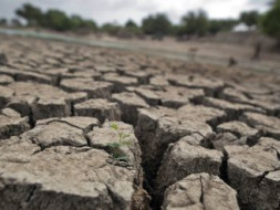 Help Drought affected farmers from Marathwada