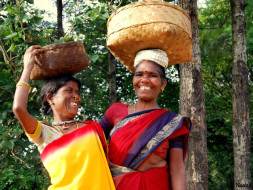 Help assure alternative livelihood for farmers