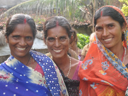 Help make information available to farmers