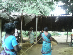 I am fundraising to empowerment of Poor Women SHG members