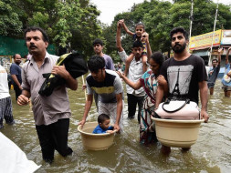 Help the stranded pets to find food and shelter during this tamilnadu flood