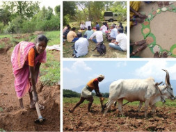 Support the National Permaculture Convergence - Feb 2016 Hyderabad India