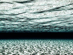 I am fundraising for the sea