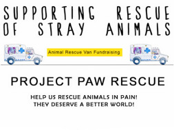 I am fundraising for a rescue van for stray animals in Delhi