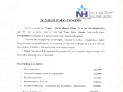 Help me fundraise for my 3 year old son's liver transplant