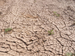 Bring relief to drought affected regions of Maharashtra