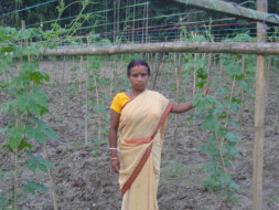 Help Sima Barman purchase seeds for bitter-gourd cultivation