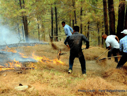 Help Us! Provide FireFighting Equipment & Training in Uttarakhand