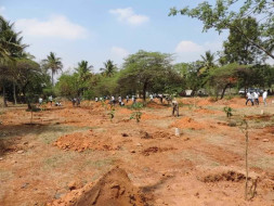 Nandi Hillathon: Improving green cover in HSR Layout