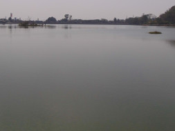 Nandi Hillathon: Restoration of Sankey Tank, Malleshwaram