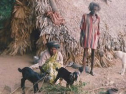 Support Livelihood activities of Tribal Women
