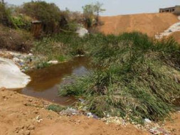 Nandi Hillathon: Rejuvenate the park & pond ecosystem in Gubbalala