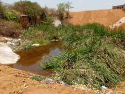 Bengaluru Marathon: Rejuvenate the park & pond ecosystem in Gubbalala