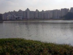 Bengaluru Marathon: Munnekolalu Lake Cleanup, Brookfield