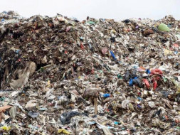 Bengaluru Marathon: Clean the Garbage Dump Yard, Mandur
