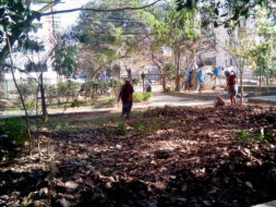 Bengaluru Marathon: Shredding and composting of leaves in HSR Layout