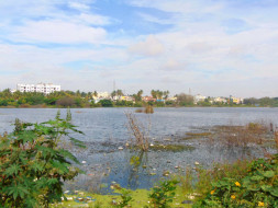 Peace Ride: Restoration of Horamavu Lake, KR Puram