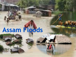 Assam Floods: Urgent Appeal to Help Affected