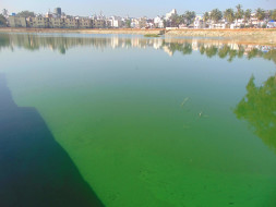 Bengaluru Marathon: Restoration of Byrasandra Lake, Jayanagar