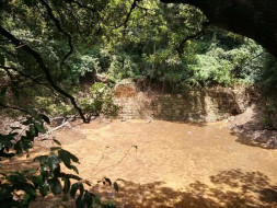 Bengaluru Marathon: Rejuvenation of Patalaganga Pond