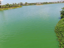 Bengaluru Marathon: Restoration of Allalasandra Lake