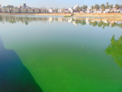 Peace Ride: Restoration of Byrasandra Lake, Jayanagar