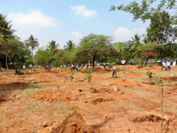 Peace Ride: Improving green cover in HSR Layout