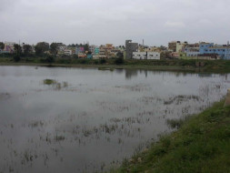 Peace Ride: Devasandra Lake Rejuvenation, K.R.Puram