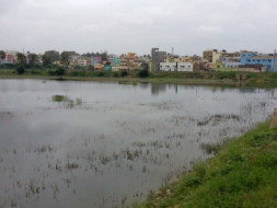 Peace Ride: Devasandra Lake Rejuvenation, K.R.Puram
