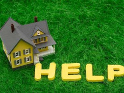 Home for a widow