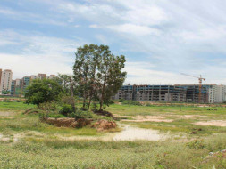 Peace Ride: Soulkere Lake Rejuvenation, Sarjapur Road