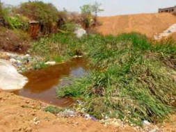 Peace Ride: Rejuvenate the park & pond ecosystem in Gubbalala