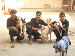 Spay neuter Program for strays species
