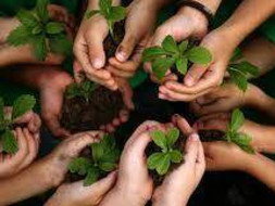 Let's plant a tree on this children's day