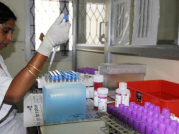 If you can give a child a 75% chance of survival from cancer, will you