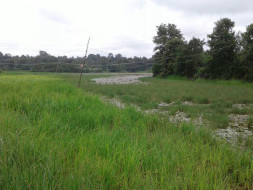 Kerekoppa Lake revival program