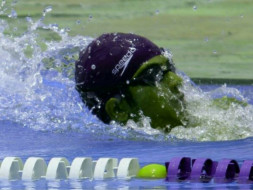 Send Kaustubh For World Championship