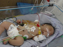 Help These Parents Save The Life Of Their New Born Baby